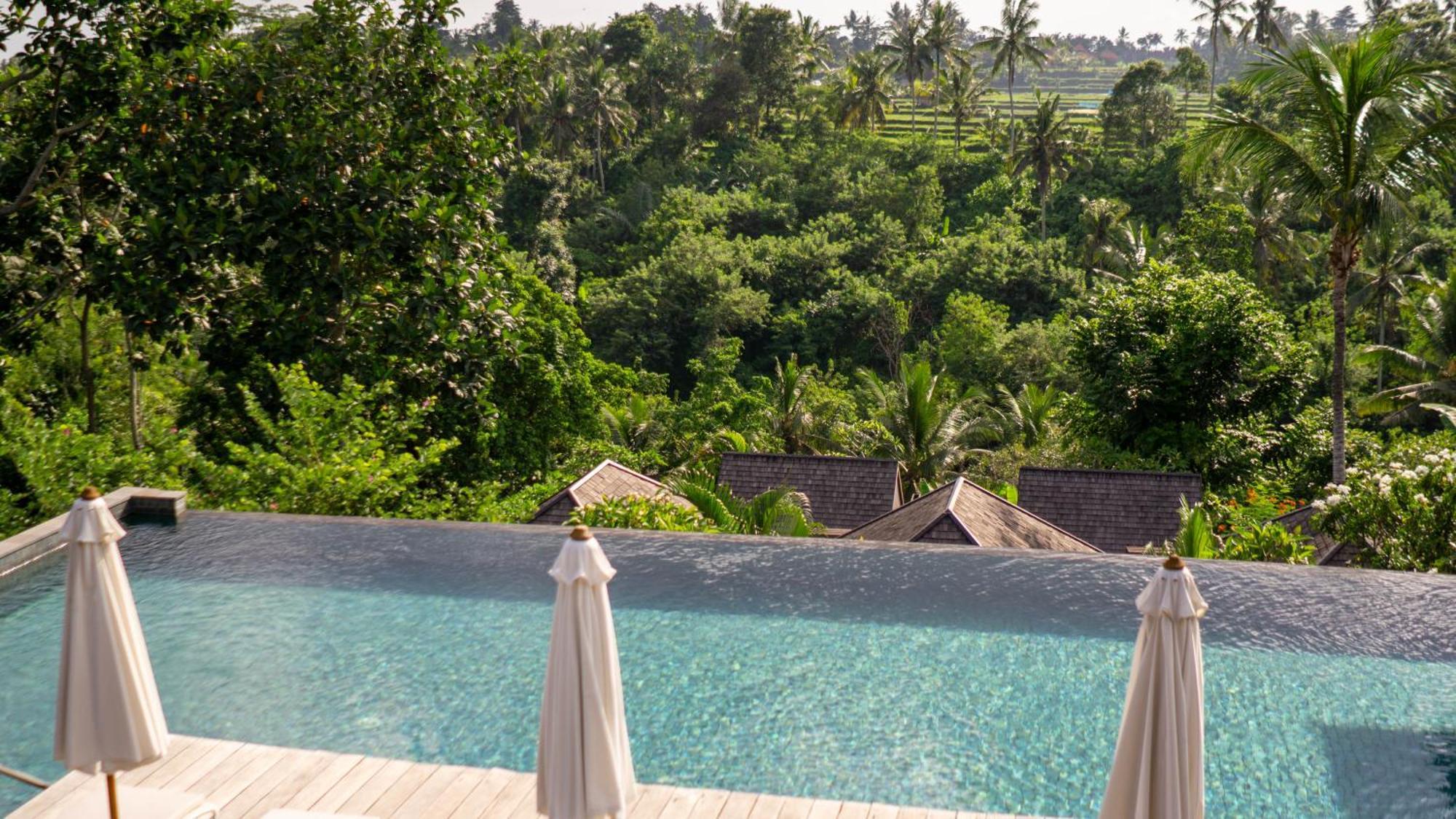 Tejaprana Bisma - CHSE Certified Ubud Exterior foto View from the pool